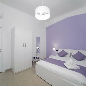 Suite Junior